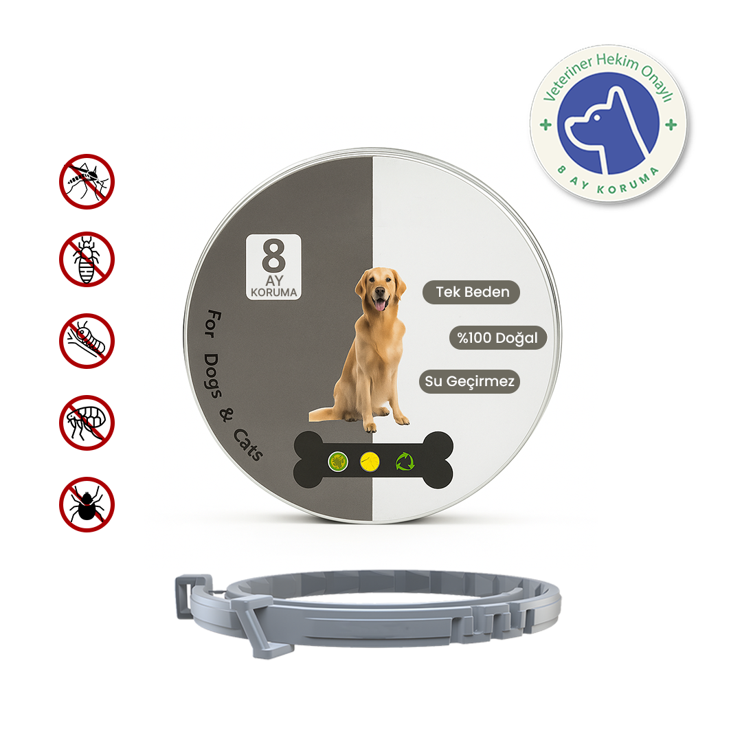 Köpek-Kedi Pire Kene Tasması