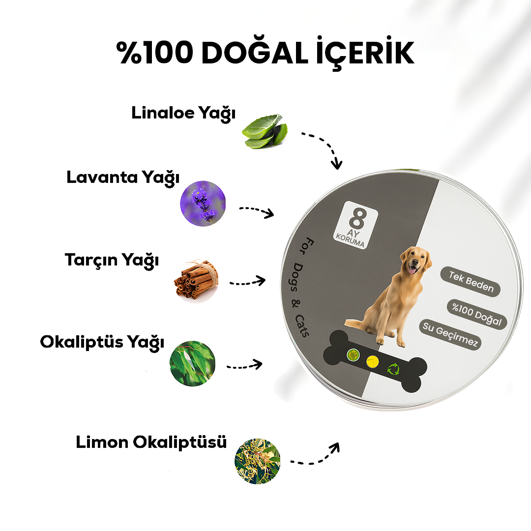 Köpek-Kedi Pire Kene Tasması