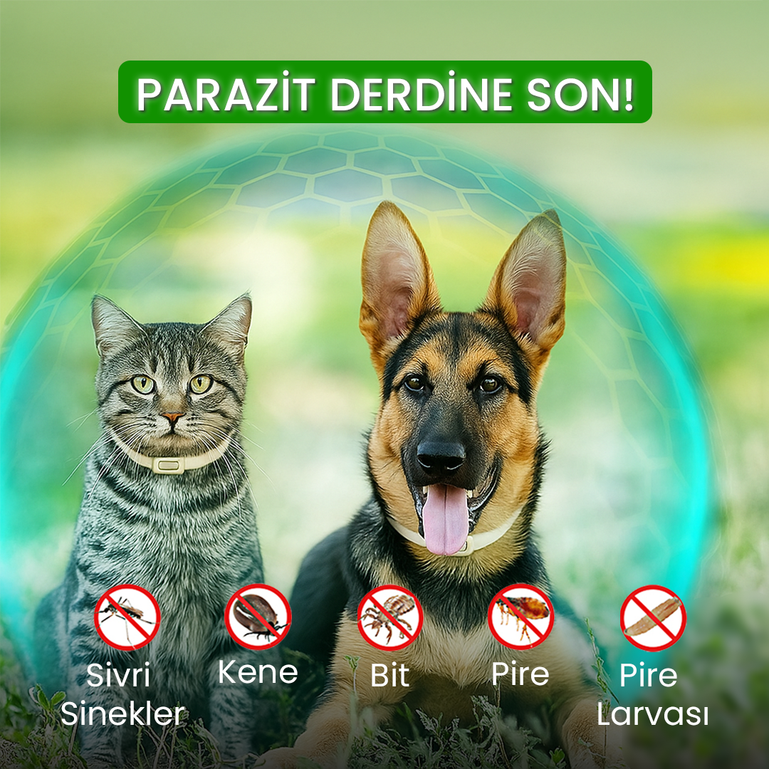 Köpek-Kedi Pire Kene Tasması